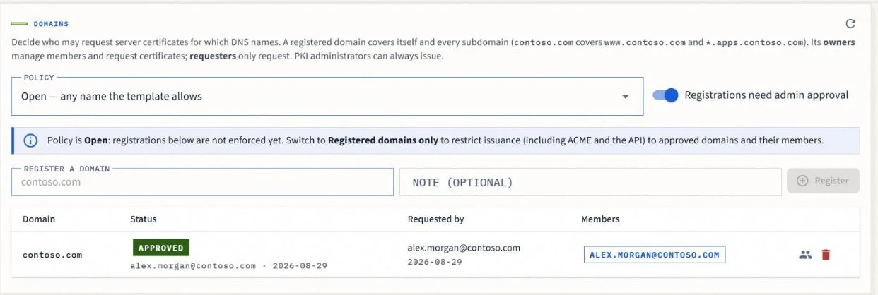 Domains panel with the registered-domains-only policy and a pending registration awaiting approval