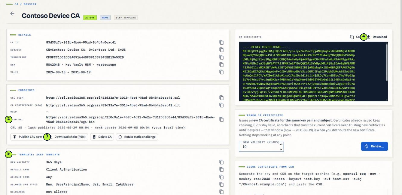 Radius365 CA page showing the SCEP URL, CA certificate and Intune-validated SCEP template
